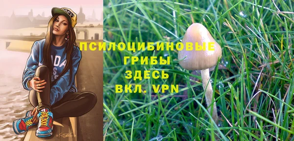 прущая мука Лагань